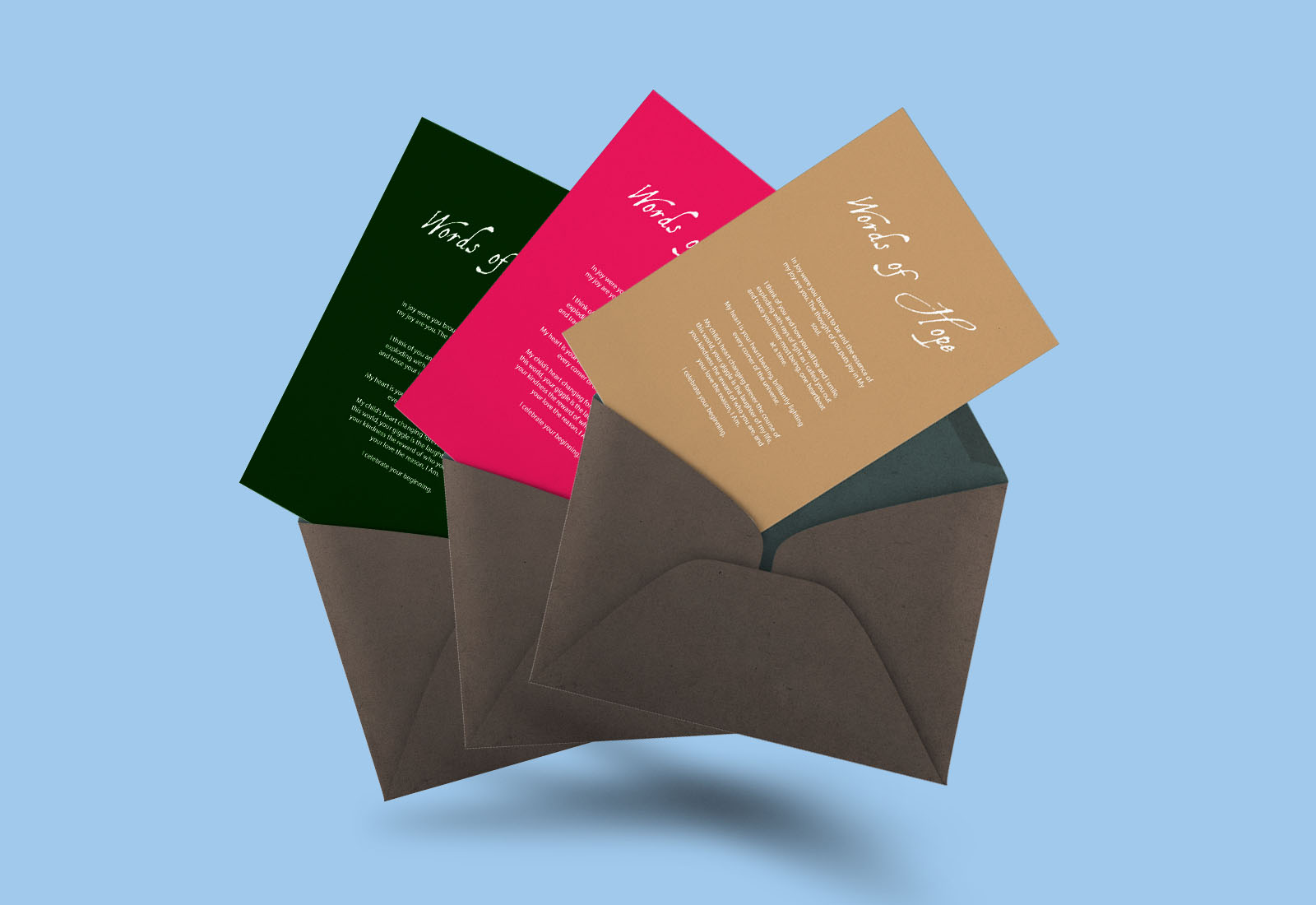 Complete Winter, Spring & Fall Collection