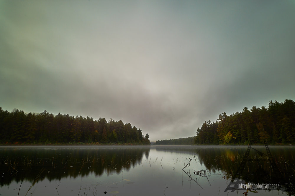 10015-160046-20161004-002056_square-space-ip_ontario-parks-project-algonquin-provincial-park-intrepidphotographer-sean-p-carson.jpg