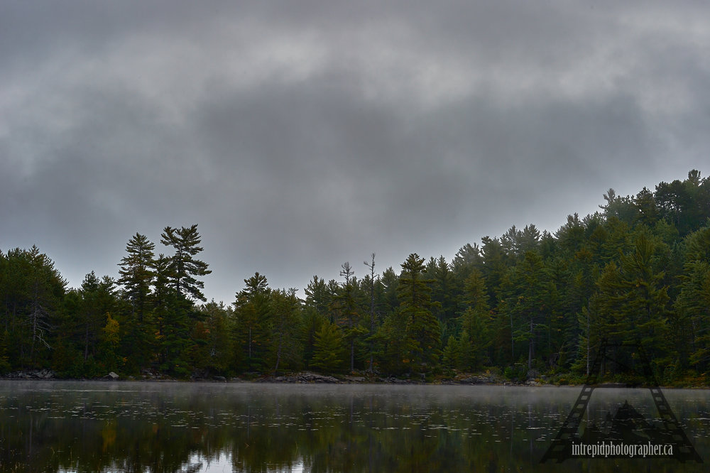 10015-160046-20161004-002058_square-space-ip_ontario-parks-project-algonquin-provincial-park-intrepidphotographer-sean-p-carson.jpg