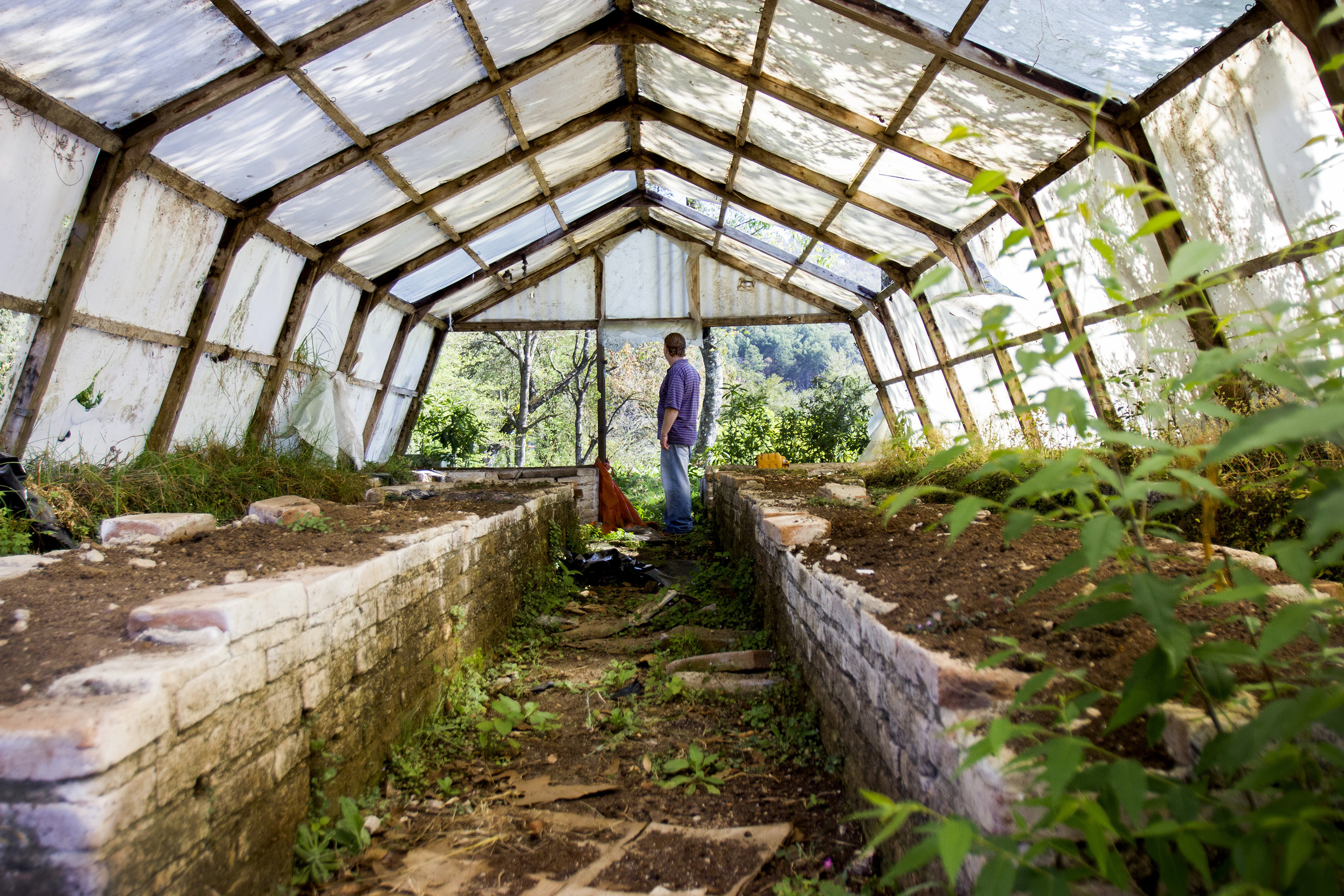 Virgil Edwards looks out over his land in San Cristobal de las Casas, Chiapas, Mexico, from an unused greenhouse. The greenhouse used to grow roses and chrysanthemum, until late 2012 when more than 500 people invaded his land for two months.