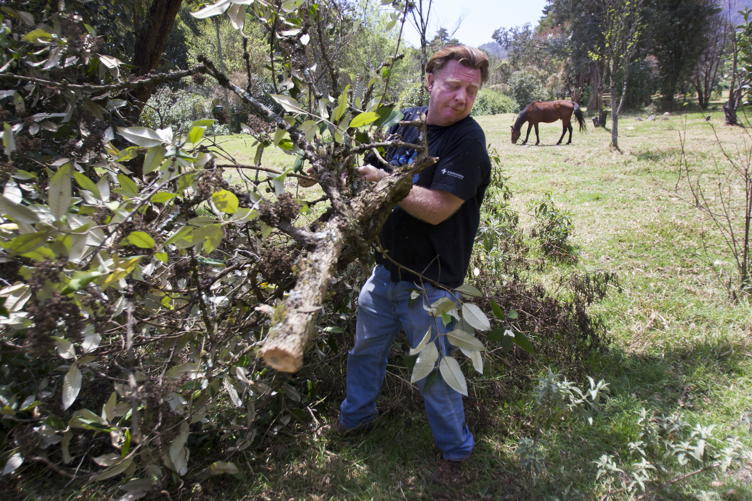 Much of the work Virgil Edwards does on his land involves trimming trees to help them grow back. Edwards spent his youth here, and it's that connection which brought him back.