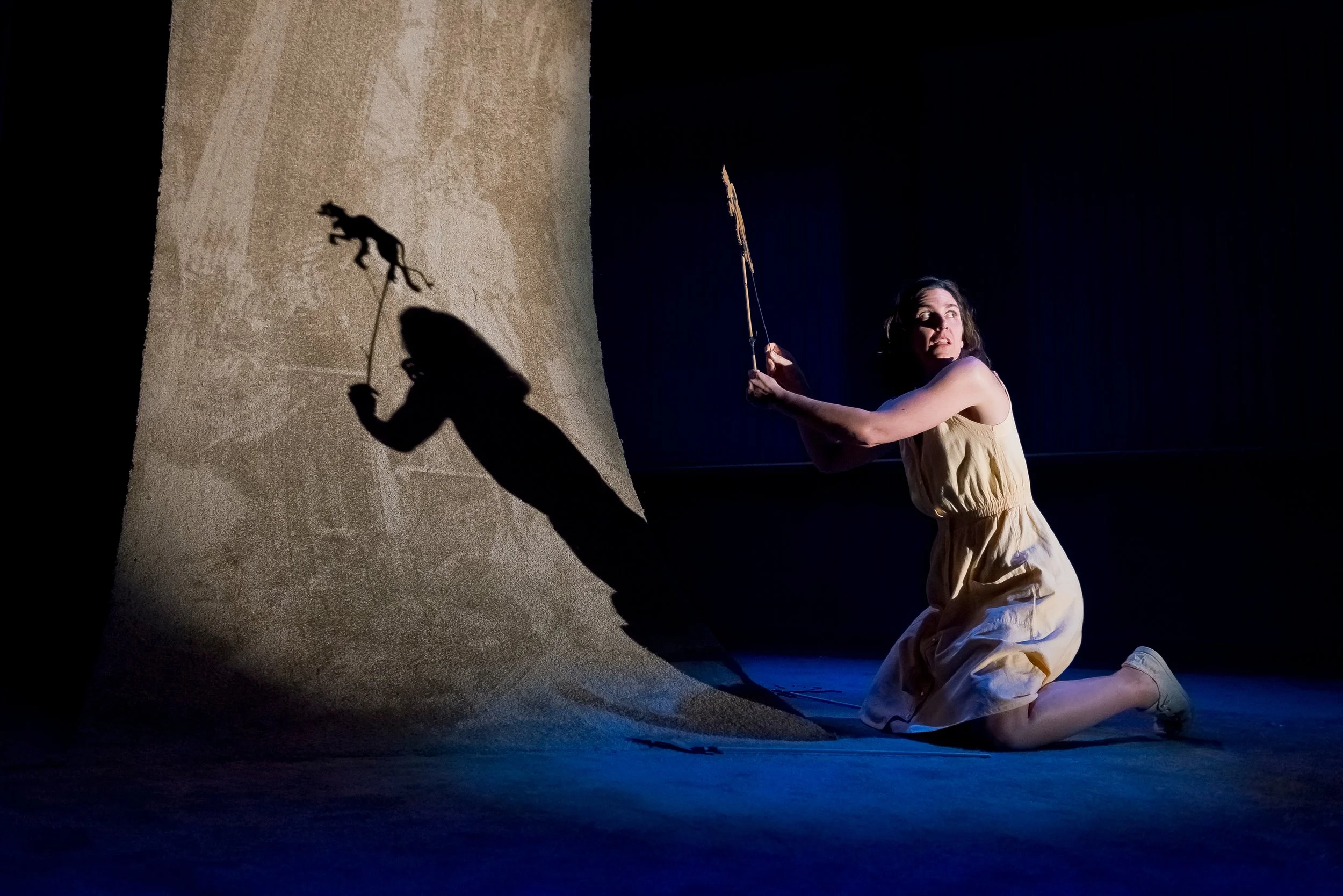 Leap and the net 275.jpg