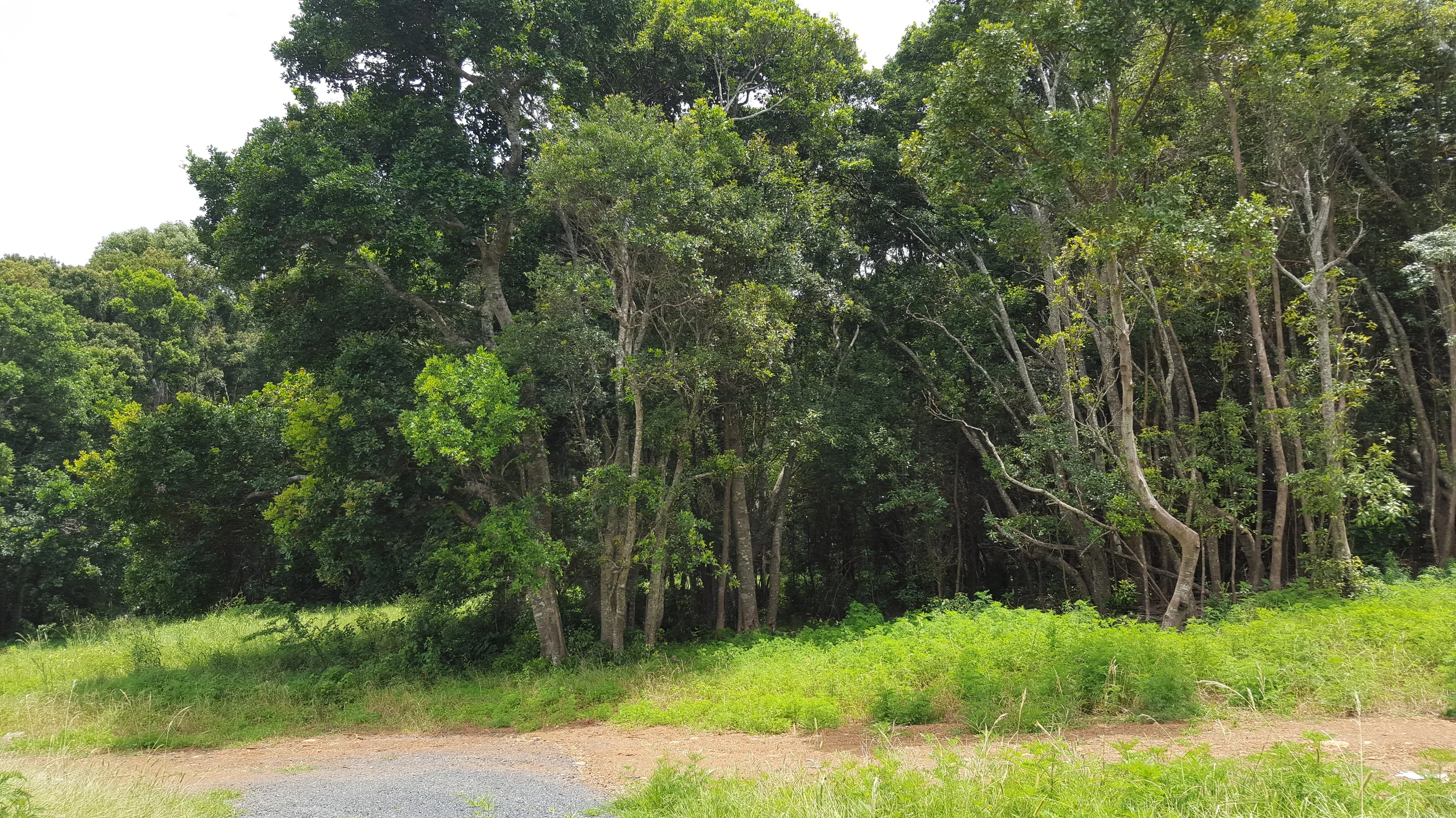 20151209_120709.jpg