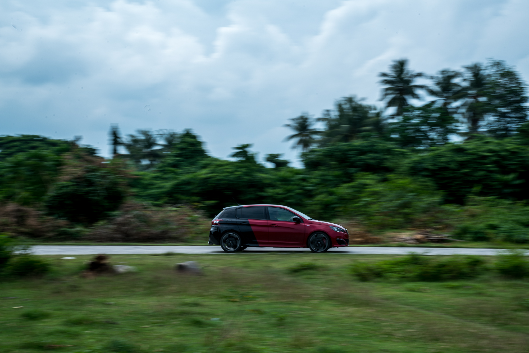 _DSC8852.jpg