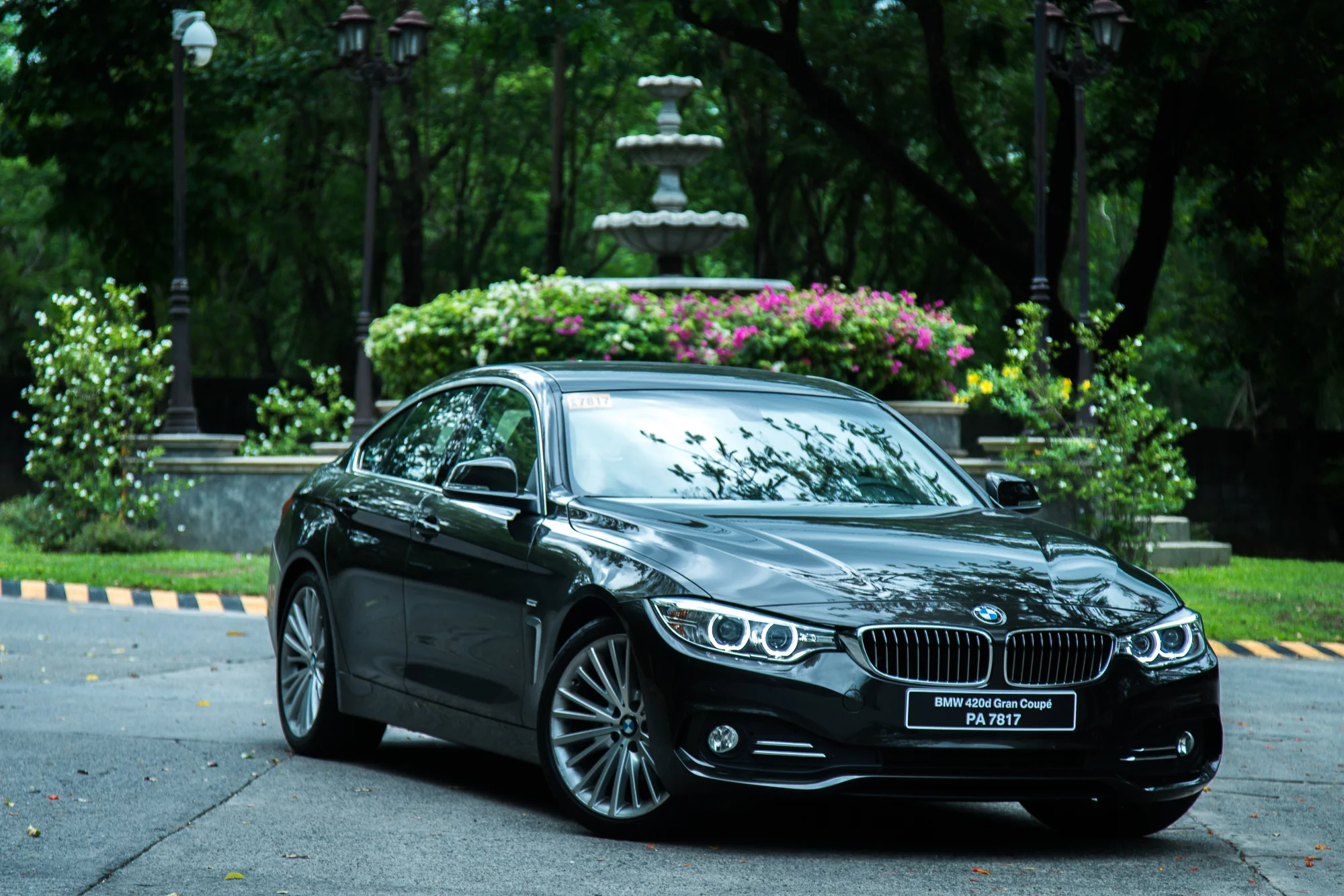 _DSC3717-Edit.jpg