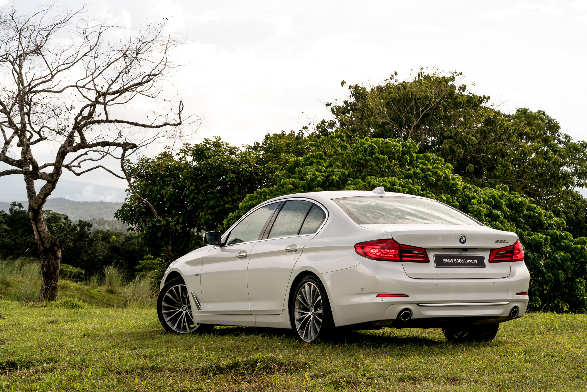 BMW 530d Luxury Line
