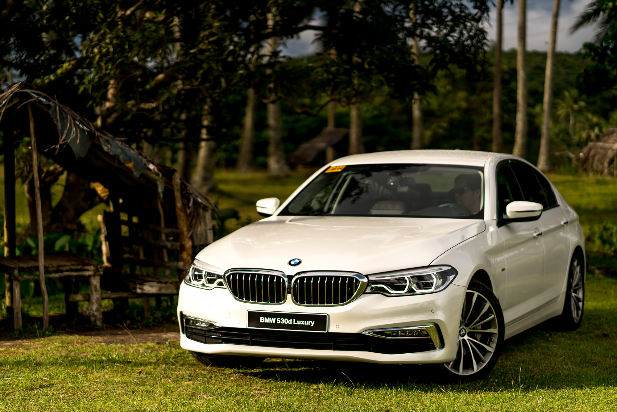 BMW 530d Luxury Line