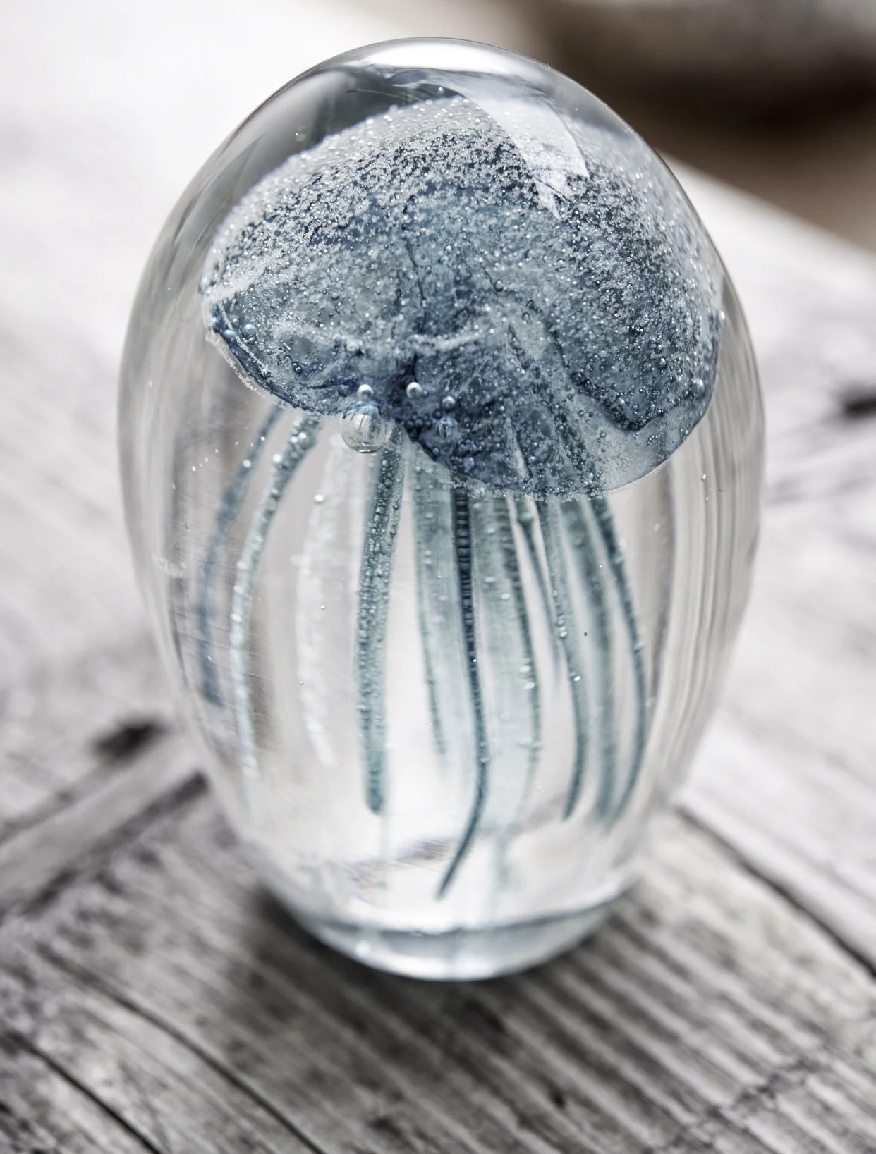 zuGast_Jellyfish_Location_290316