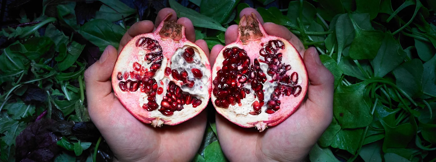 Blog_Seasons_Schwarzwurzel_Zutaten_Granatapfel.jpg