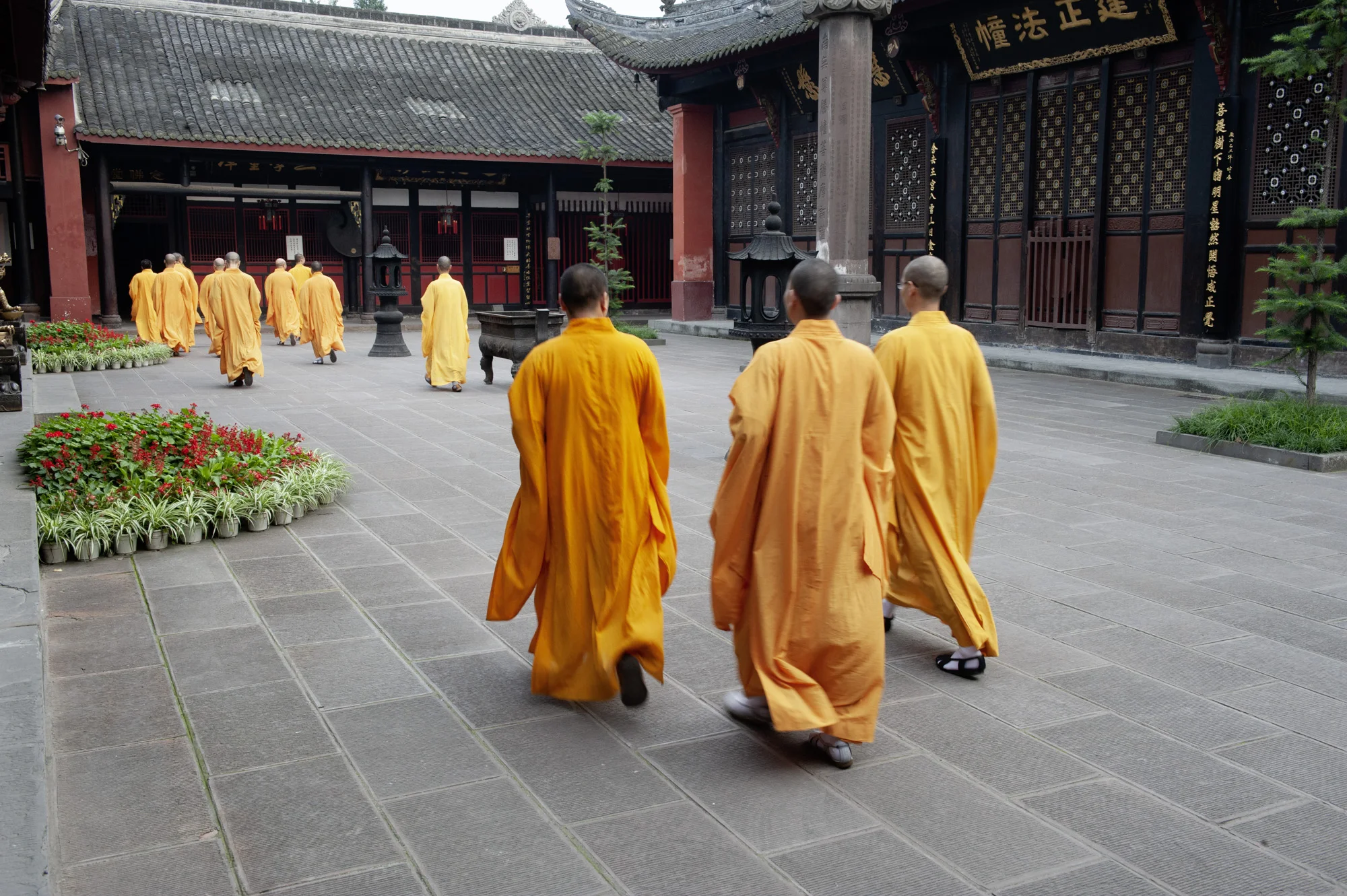 Chengdu_Wenshayuan-006520_.jpg