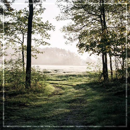 Campfire Stories  – Waldwochenende