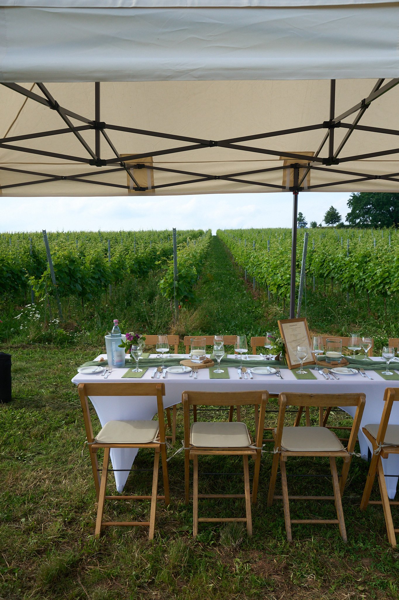 Wein_Dine_12.jpg