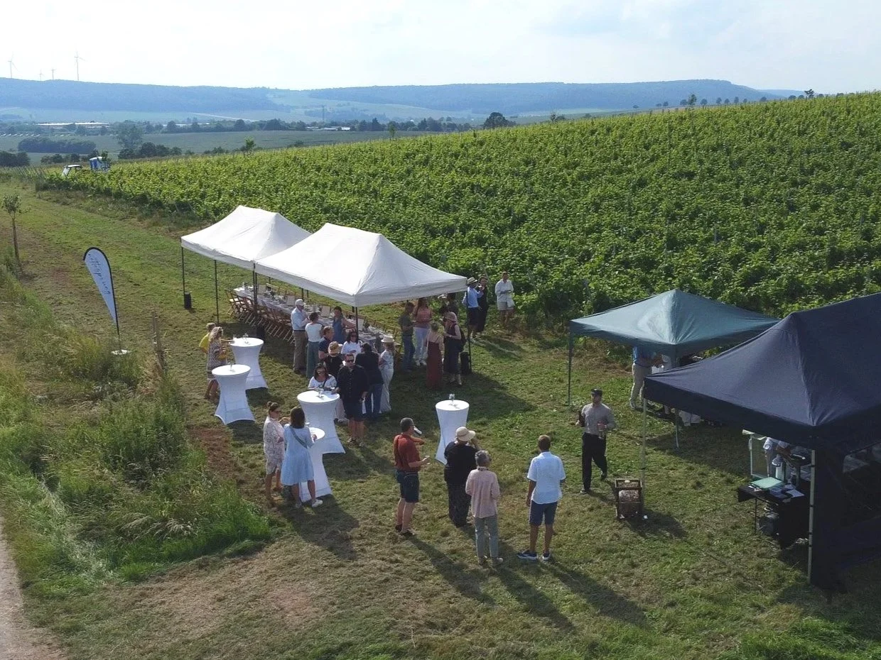 Wein_Dine_3.jpg