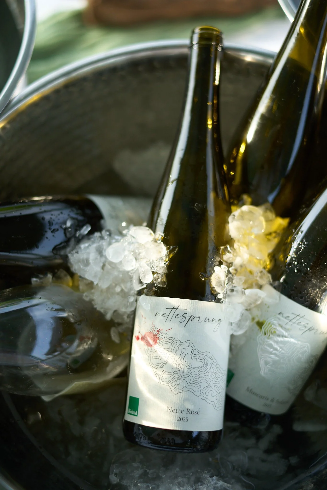 Wein_Dine_39.jpg