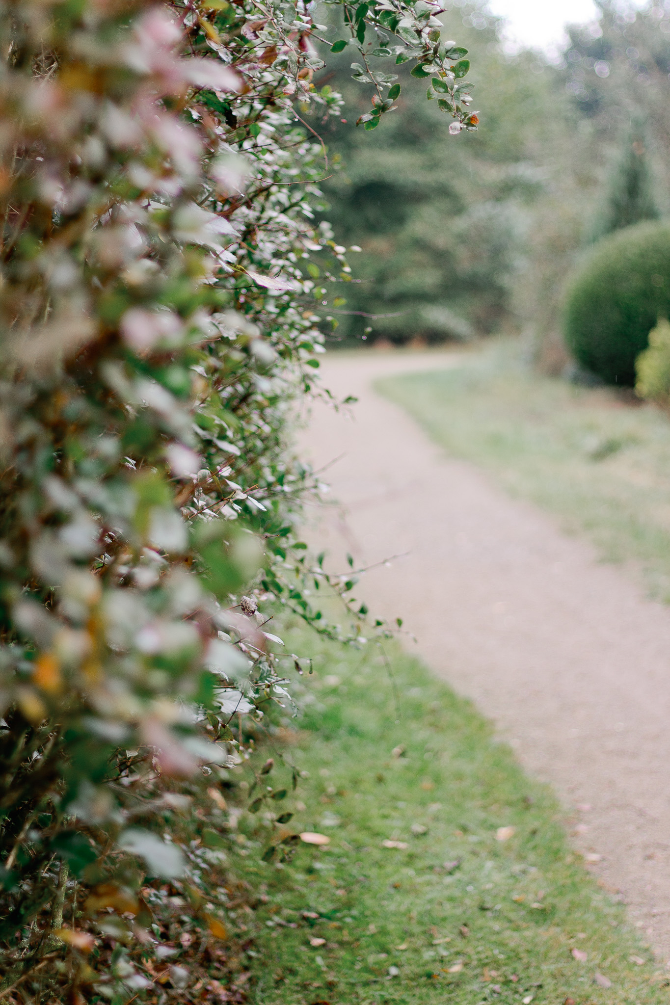anna-hari-photography-7.jpg