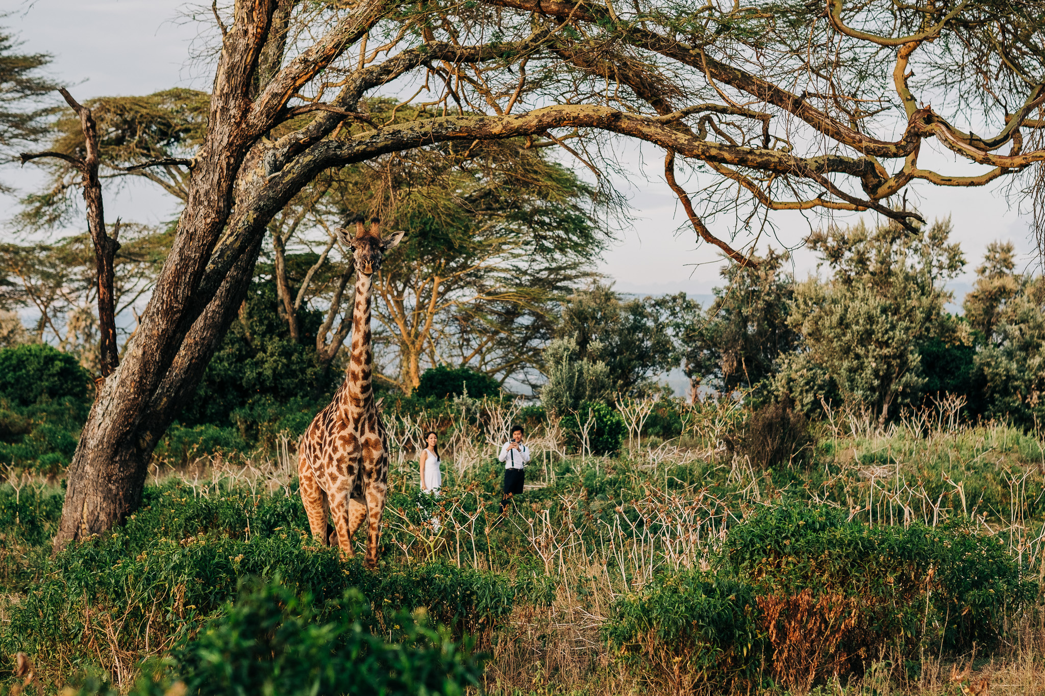 Anna-Hari-Photography-Safari-Elopement-Kenya-Wedding-Photographer-Kenya-78.jpg