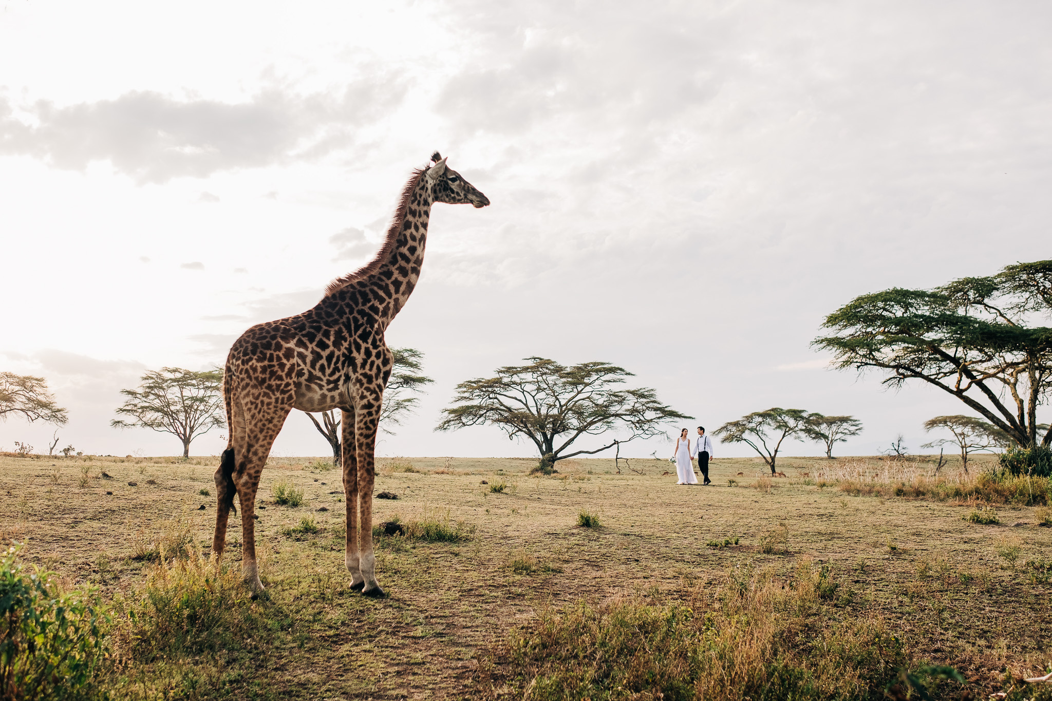 Anna-Hari-Photography-Safari-Elopement-Kenya-Wedding-Photographer-Kenya-81.jpg