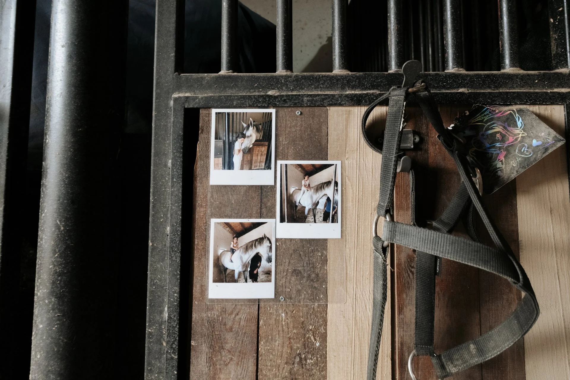Üç adet Polaroid fotoğraf, bir çerçeve ve bir atın sahibiyle birlikte olduğu görüntüler, yerde ata takılmış bir havalı yürüyüş tasması ve renkli kalpli bir karton.