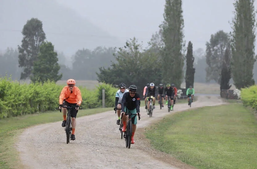 Ride the Vines