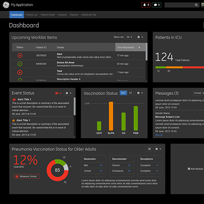 GE Healthcare Application