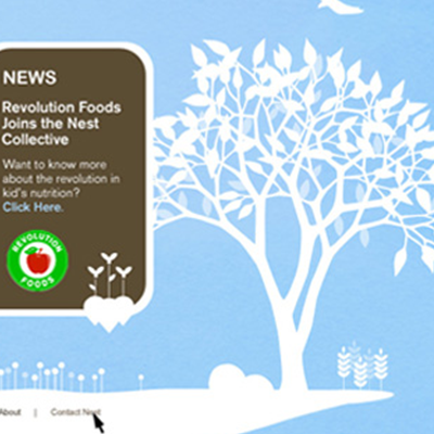 Nest Naturals Website Design