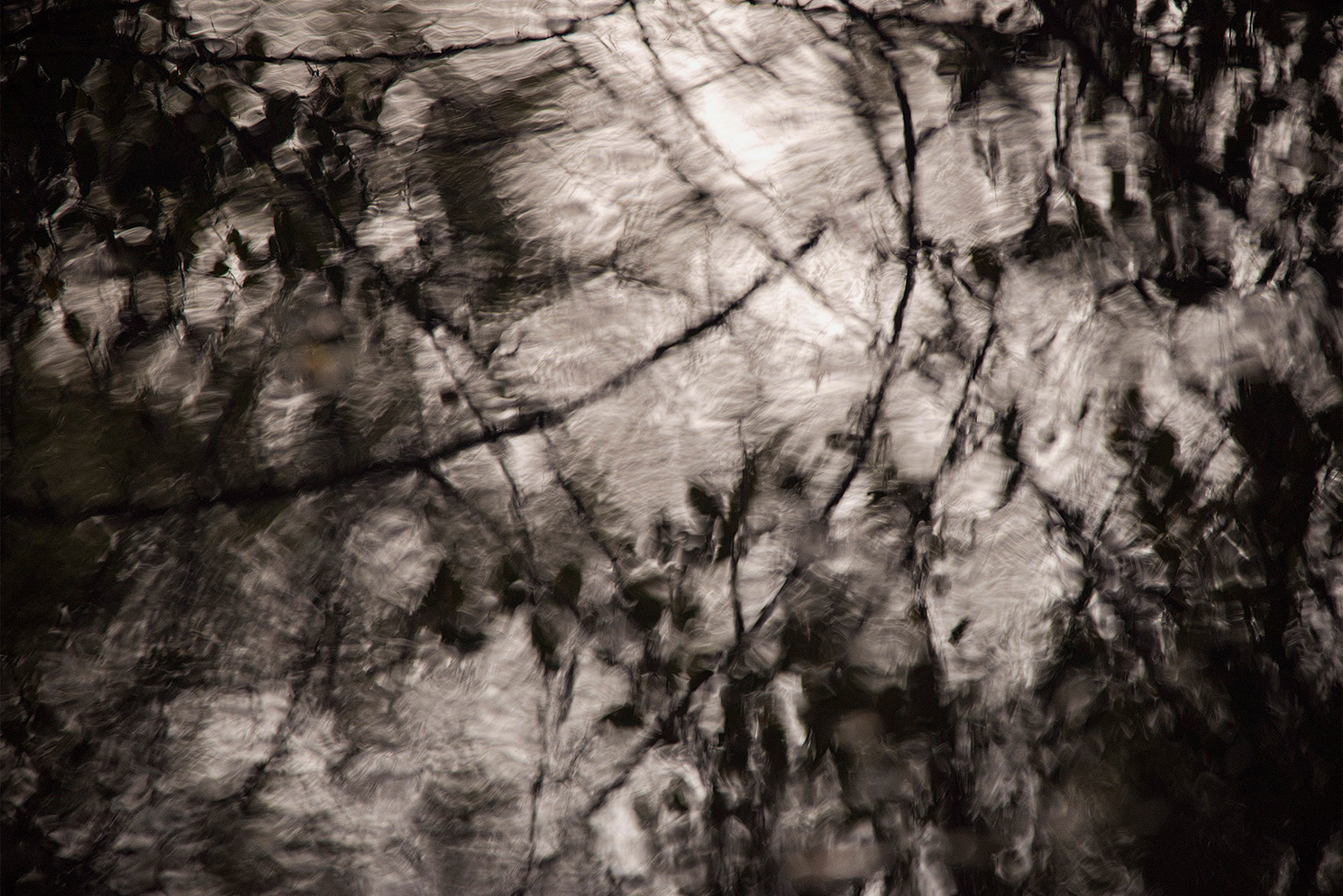 Bivas_Bhattacharjee_Nostalgia of a still lake._36in x 24in_Photograph on Archival Paper_2013.jpg