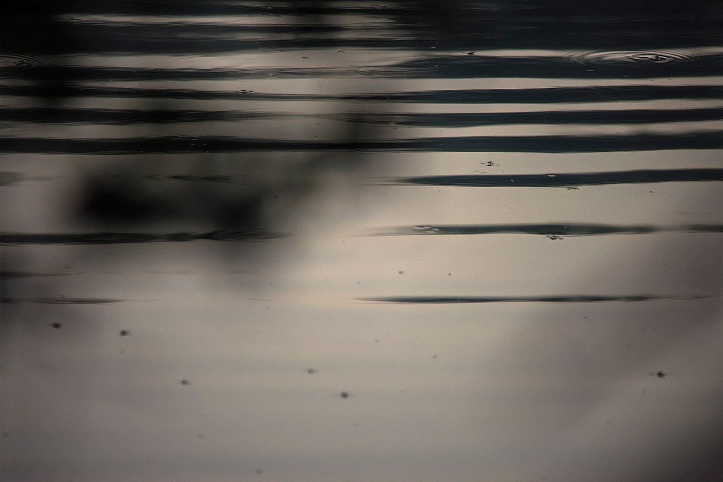 Bivas_Bhattacharjee_The slow waves of transformation._36in x 24in_Photograph on Archival Paper_2013.jpg
