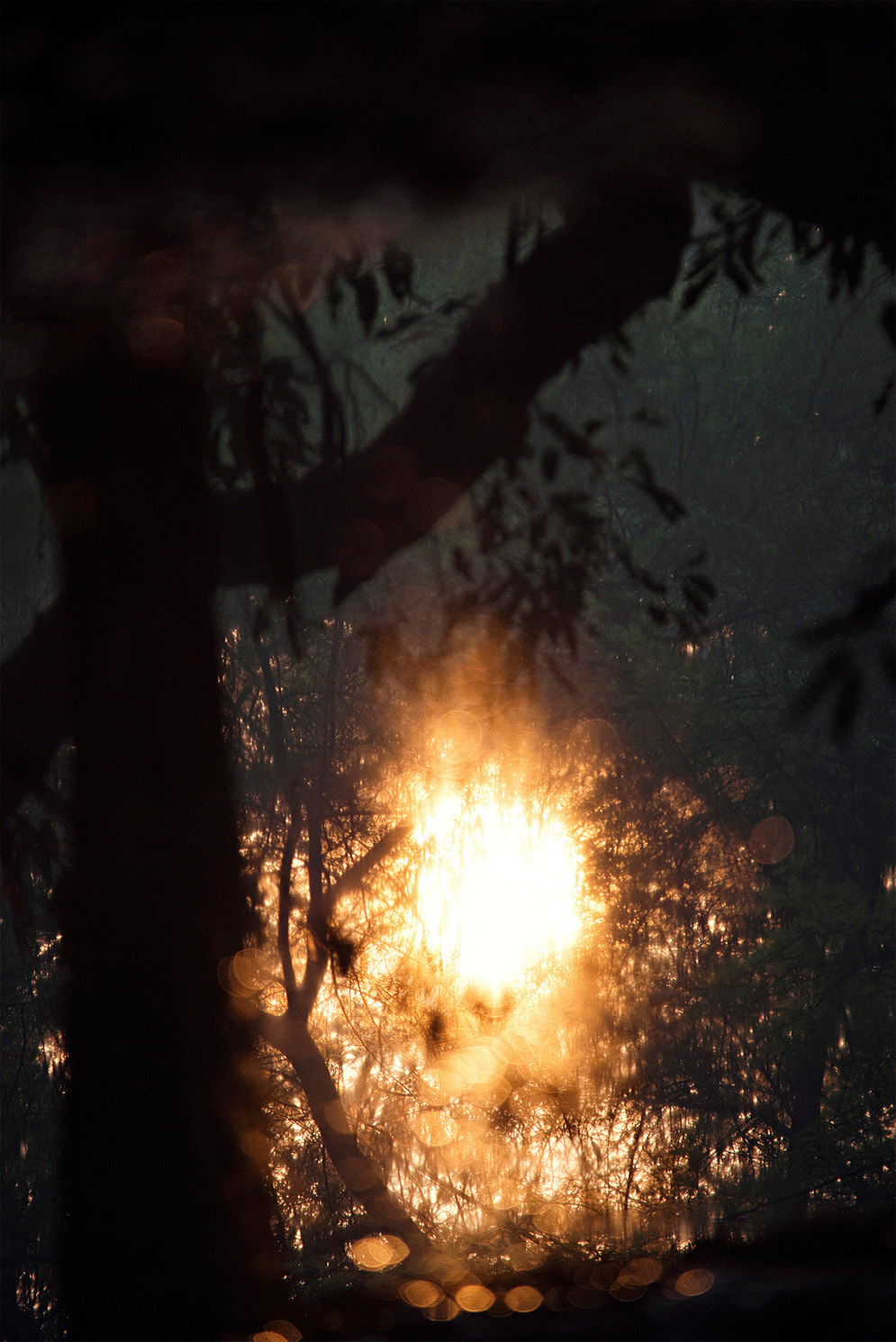 Bivas_Bhattacharjee_You were just beyond._36in x 24in_Photograph on Archival Paper_2013.jpg
