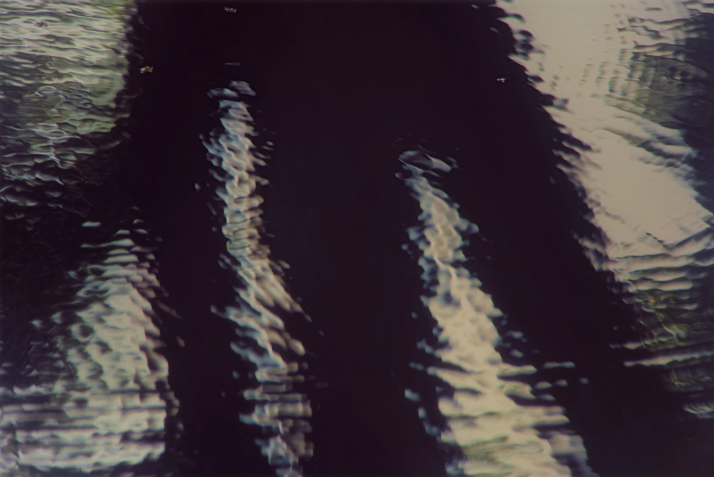 Bivas Bhattacharjee_The Hidden Dance of Trees 11_2014_36' x 24'_Photograph_Edition 1 of 3.jpg