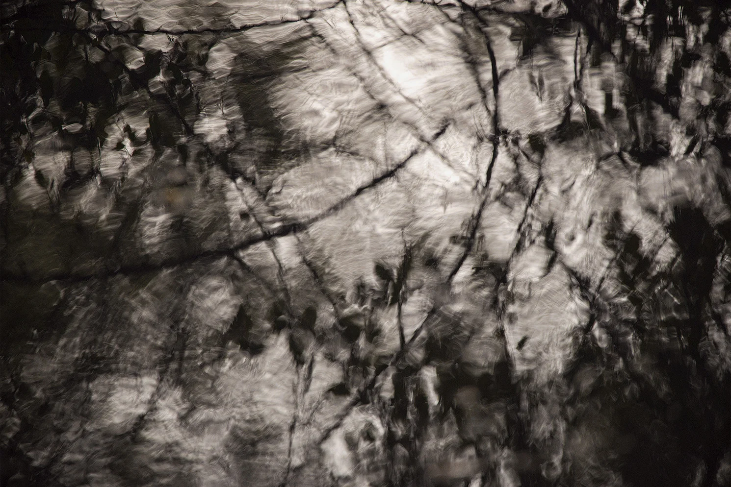 Bivas_Bhattacharjee_Nostalgia of a still lake._36in x 24in.jpg