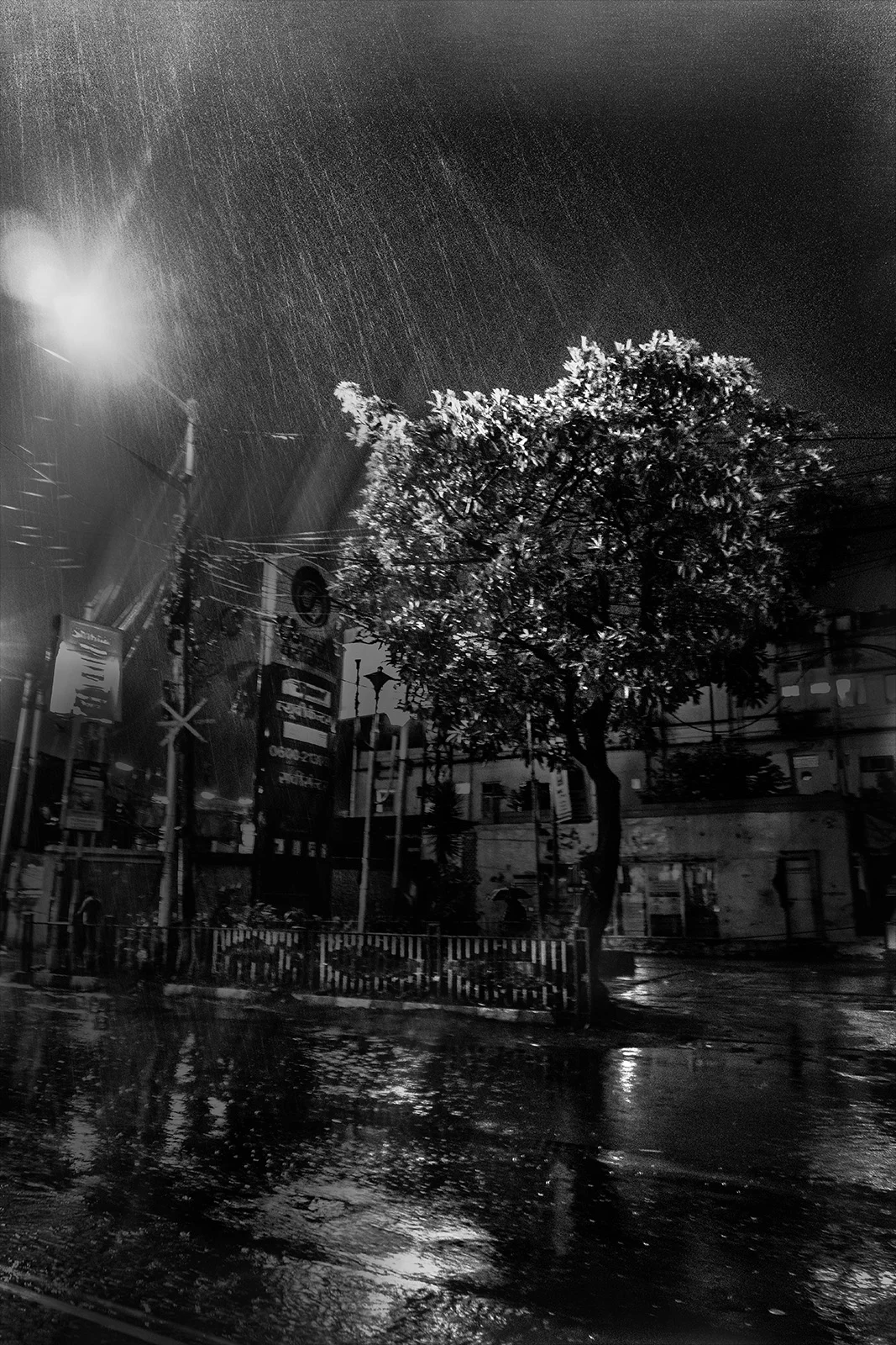 Bivas Bhattacharjee_Velocity of Darkness_37.jpg