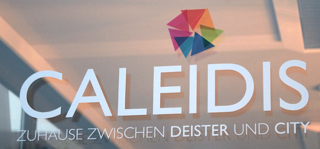Ideal Caleidis_Container4.png