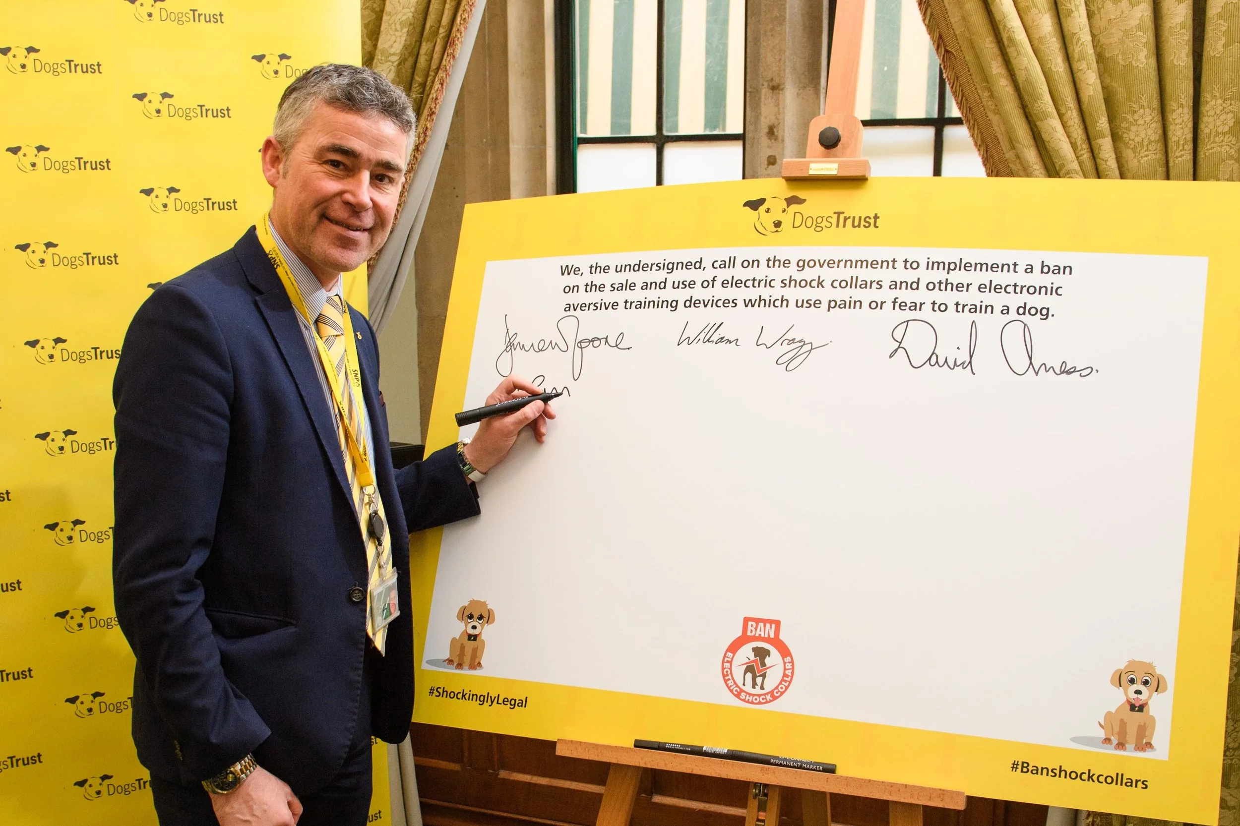 Dogs Trust - Ban Shock Collars.jpg