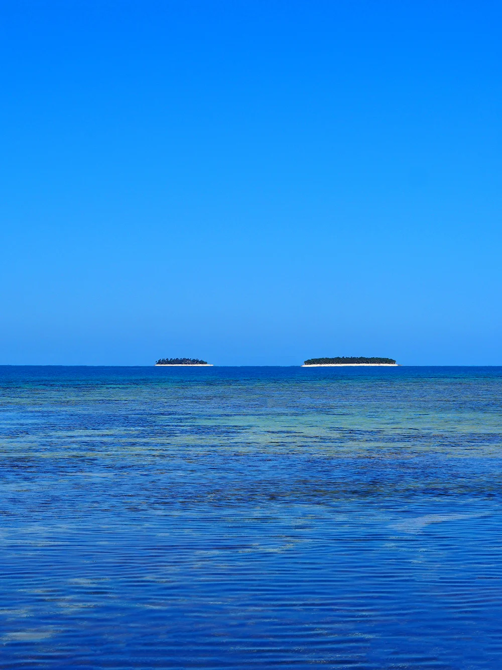 P9161360ss1.jpg