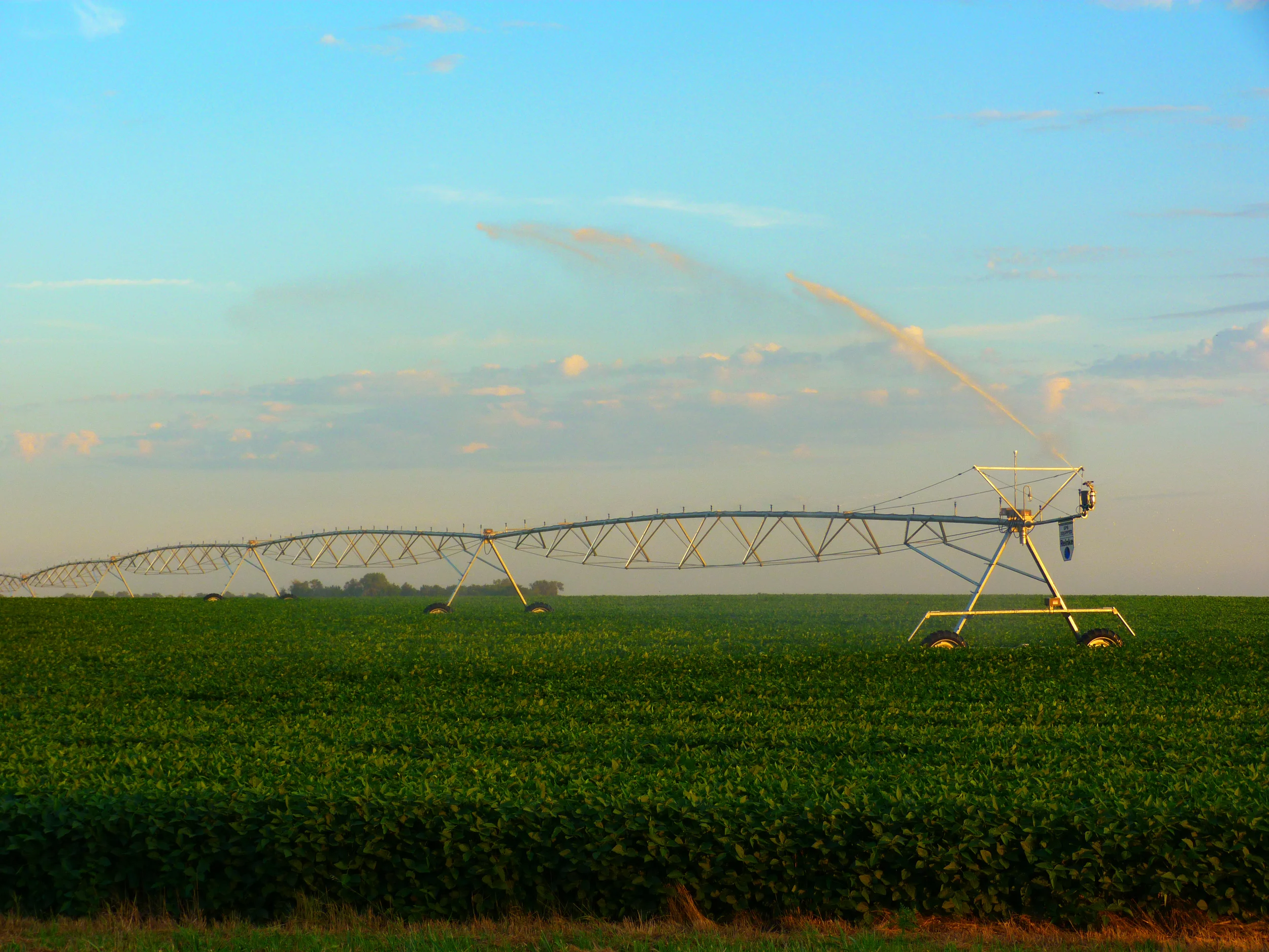 Reinke-Center-Pivot-Soybeans