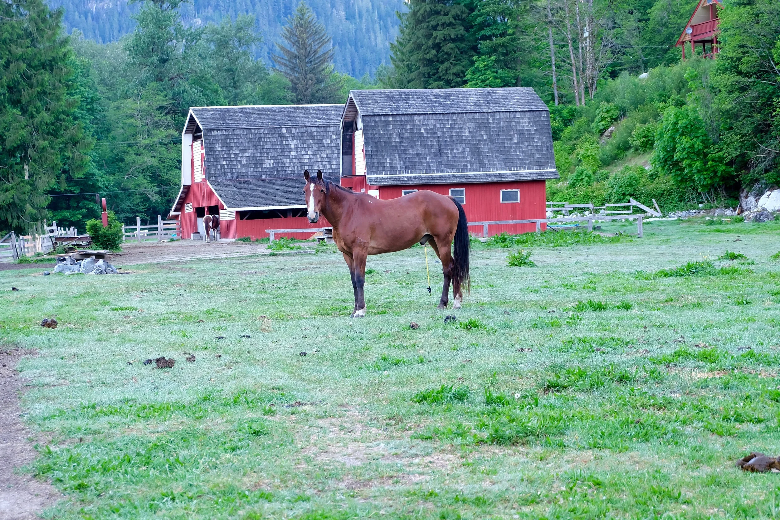 DSCF0620.jpg