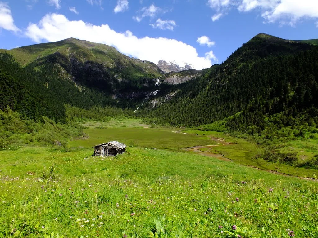 Herdsman's hut near Tong-gyug Valley