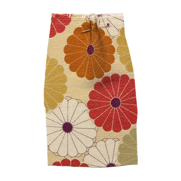 japanese crepe daisy.jpg