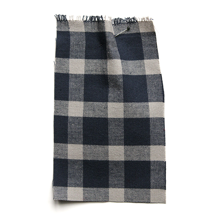 gingham canvas blue.jpg