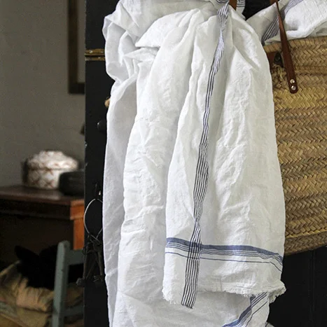 cotton sari.jpg
