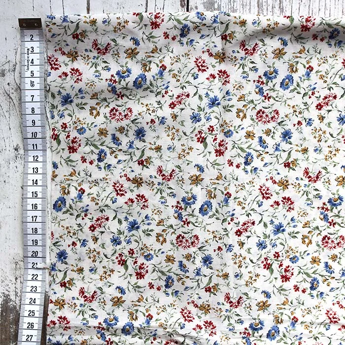 daisy lawn scale.jpg