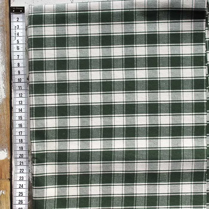 checked canvas green other.jpg