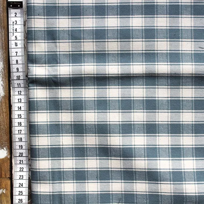 check canvas blue other.jpg