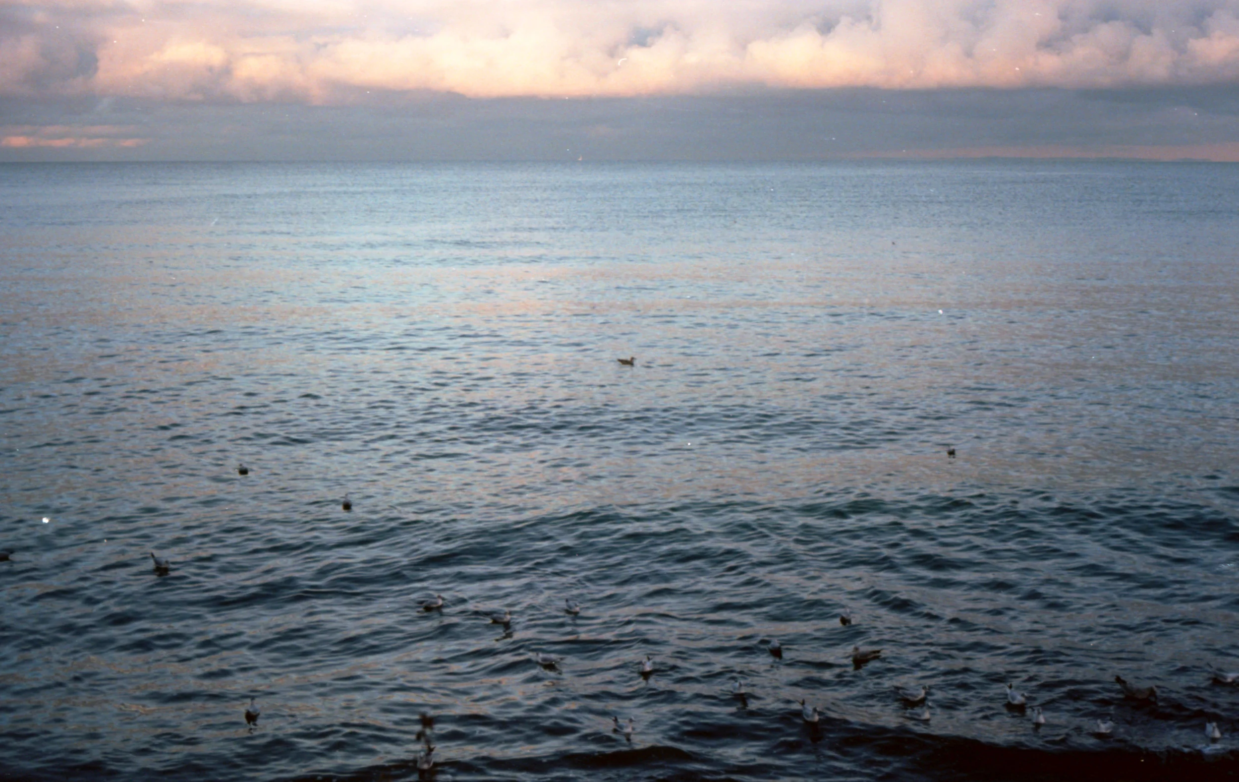 Winter seascape #3 on 35mm