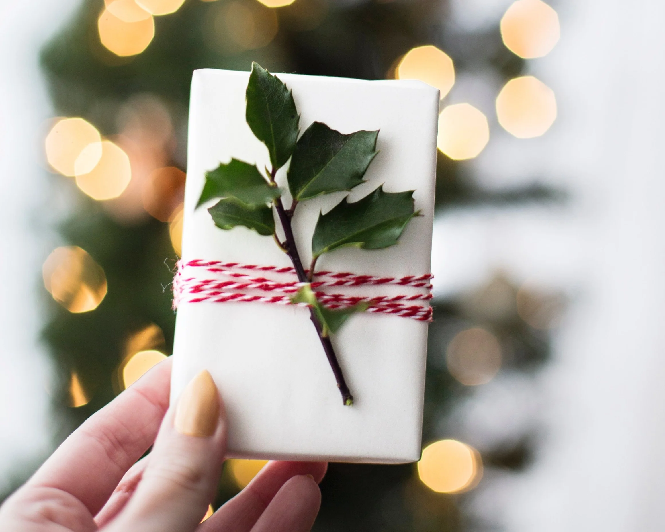 christmas+gift.jpg