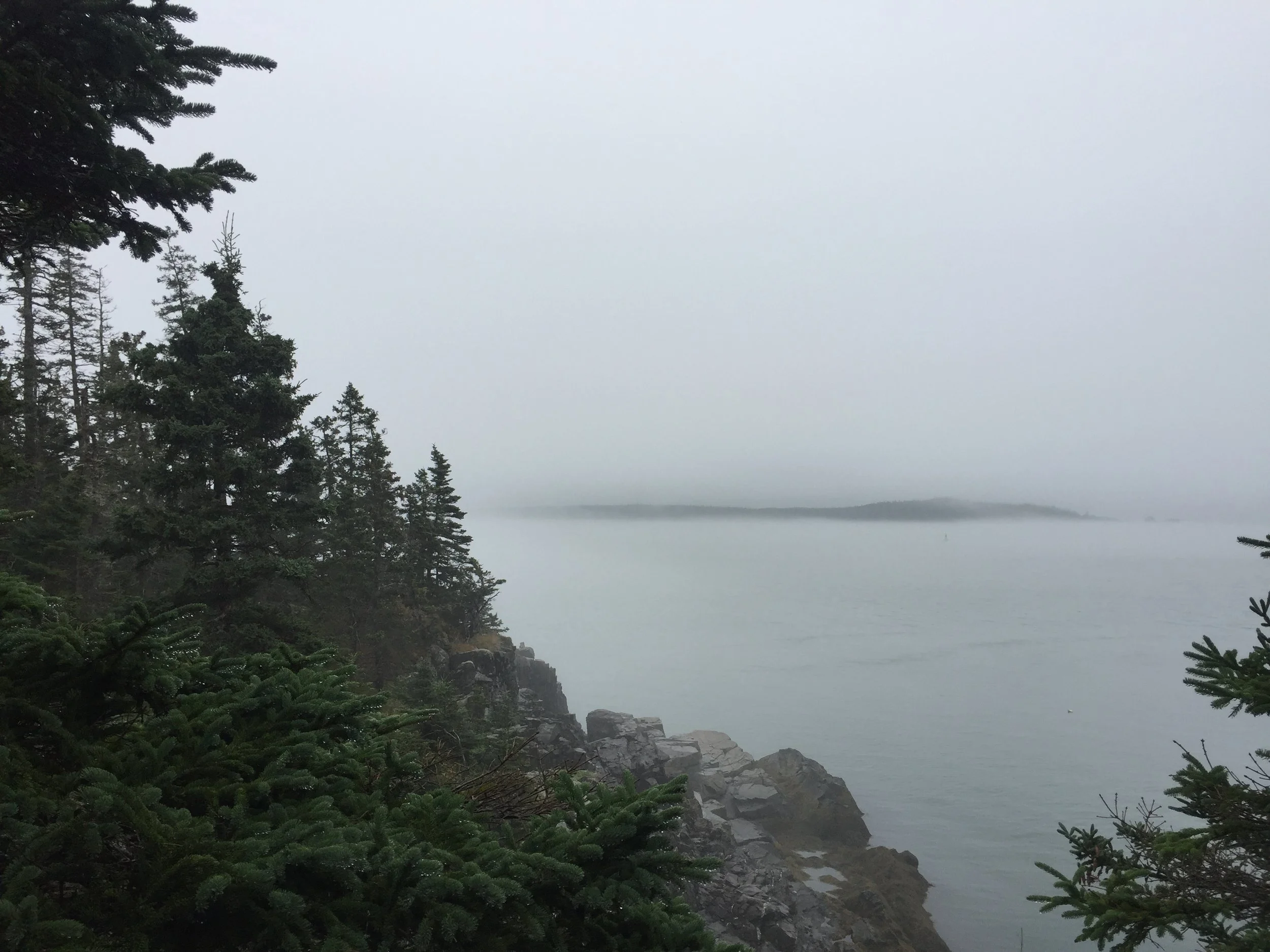 Need a career coach? Blue Sage is back! 