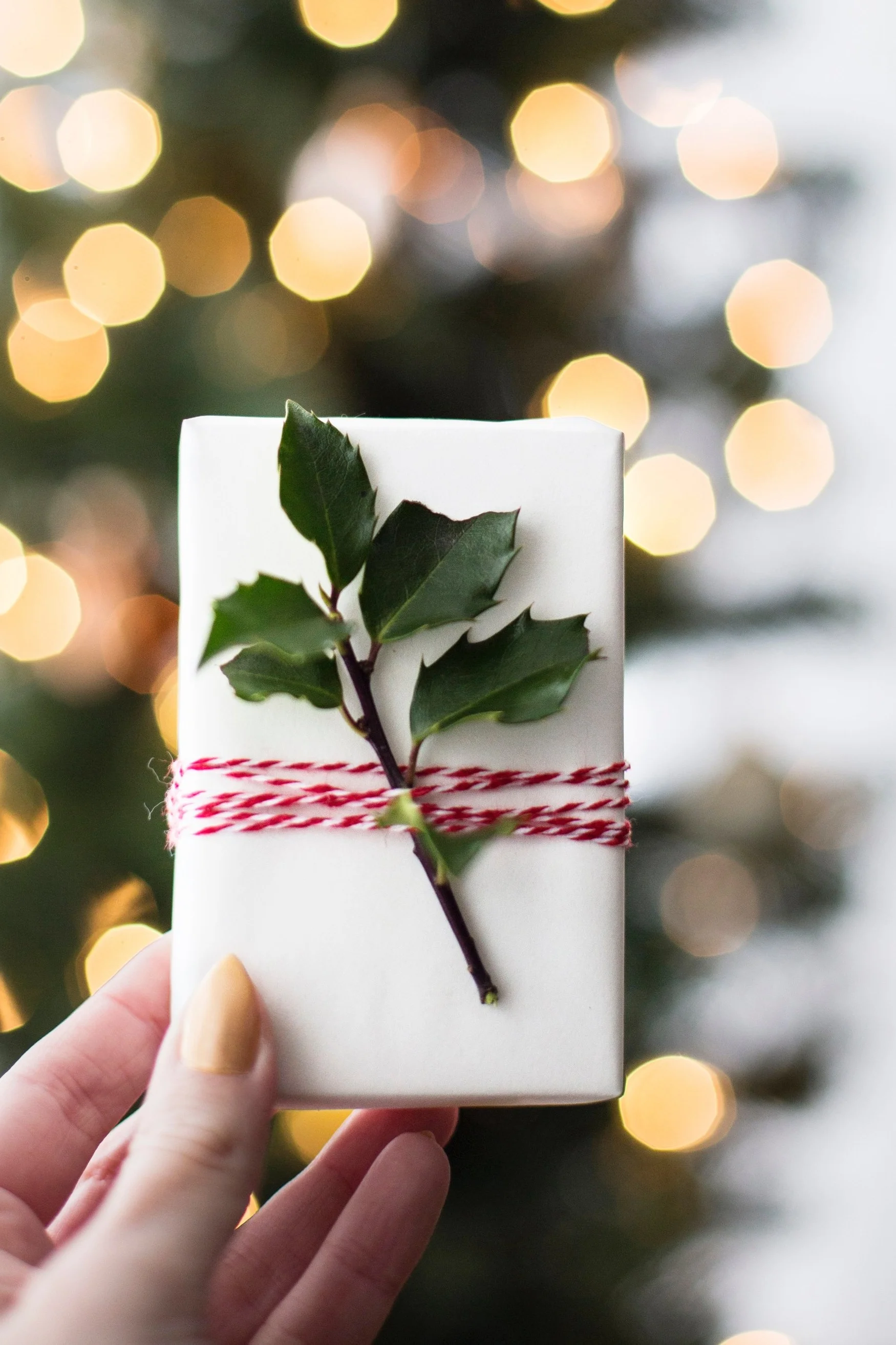 Give the Gift of Possibility this Christmas! 