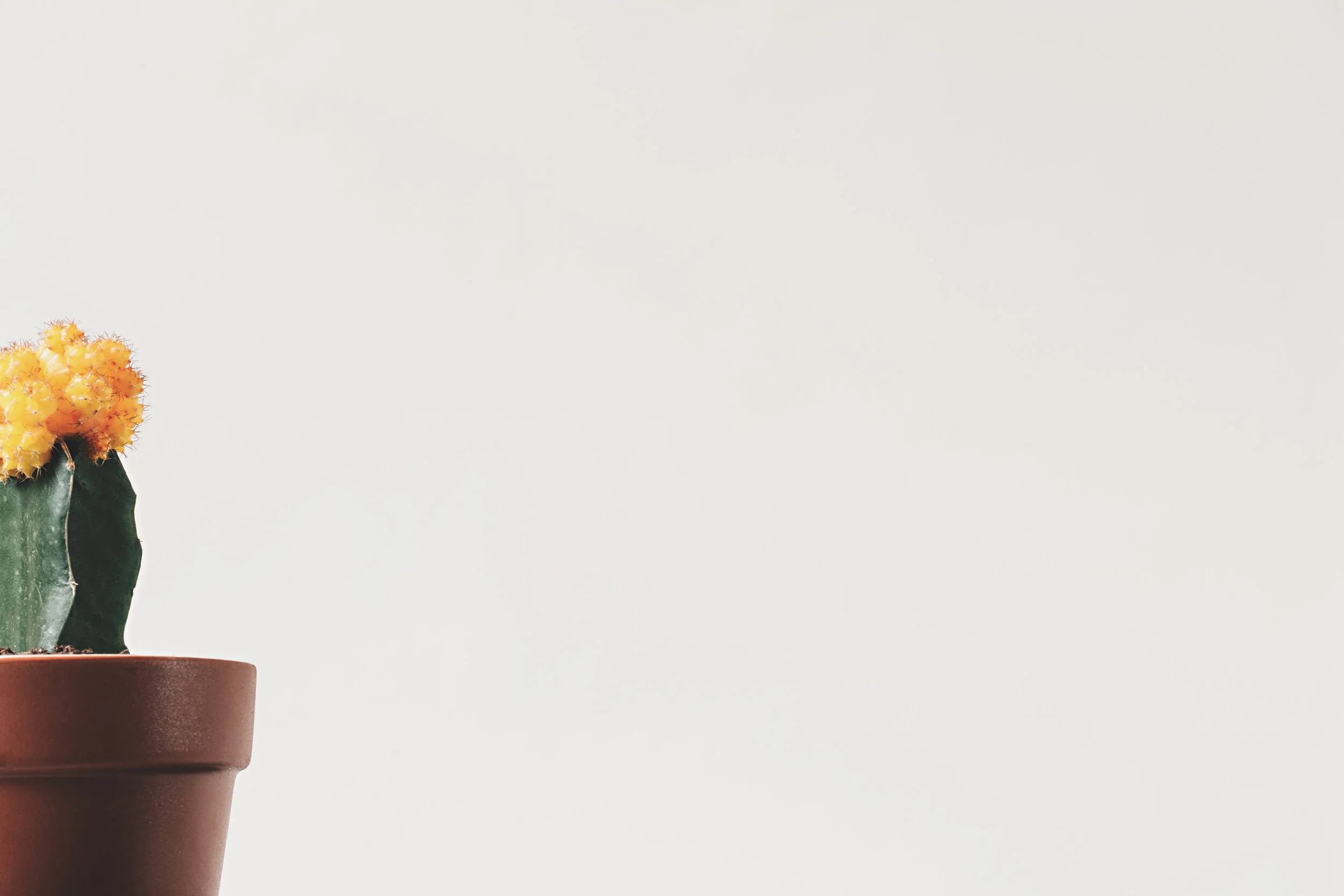 The LifeWork Project™ Basic Course