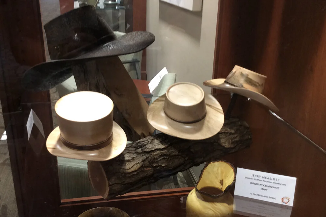 (Photo is from the current display at Atrium Health Northeast, courtesy of the NorthEast Foundation which has commissioned 6-month displays of artworks by ClearWater Artists, in their older cardiovascular wing entry hall as of August 2019!)