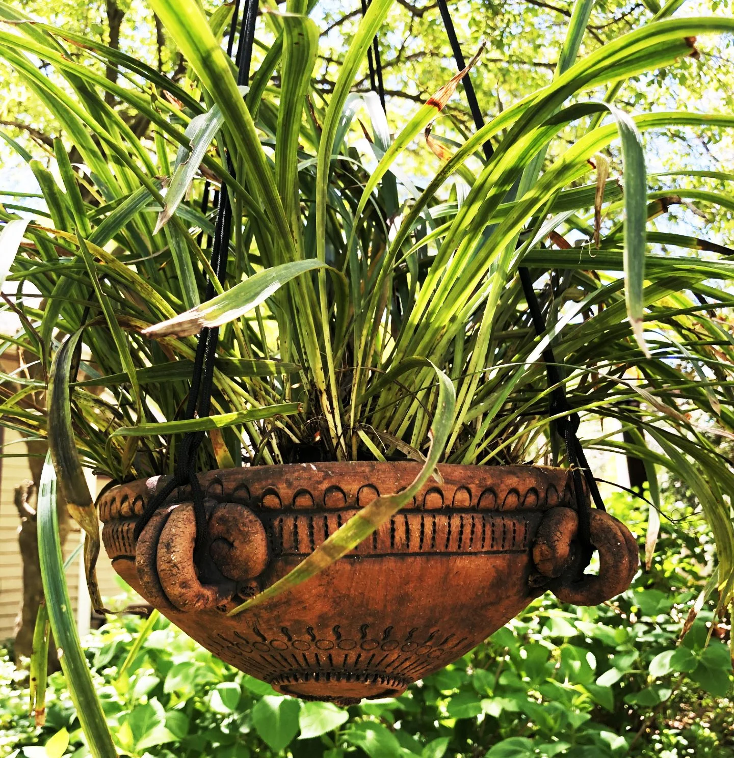 Hanging Planters! with Deborah Arbes - Sat., April 20
